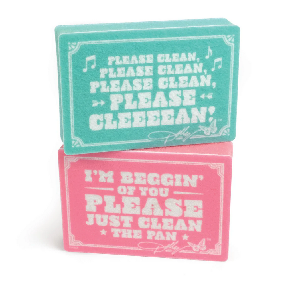 Set of 2 kitchen sponges, one teal and one pink that read " Please clean, Please clean, please clean, PLEASE CLEEEEEAN!" and "I'm Beggin' of you, PLEASE just clean the pan!" 