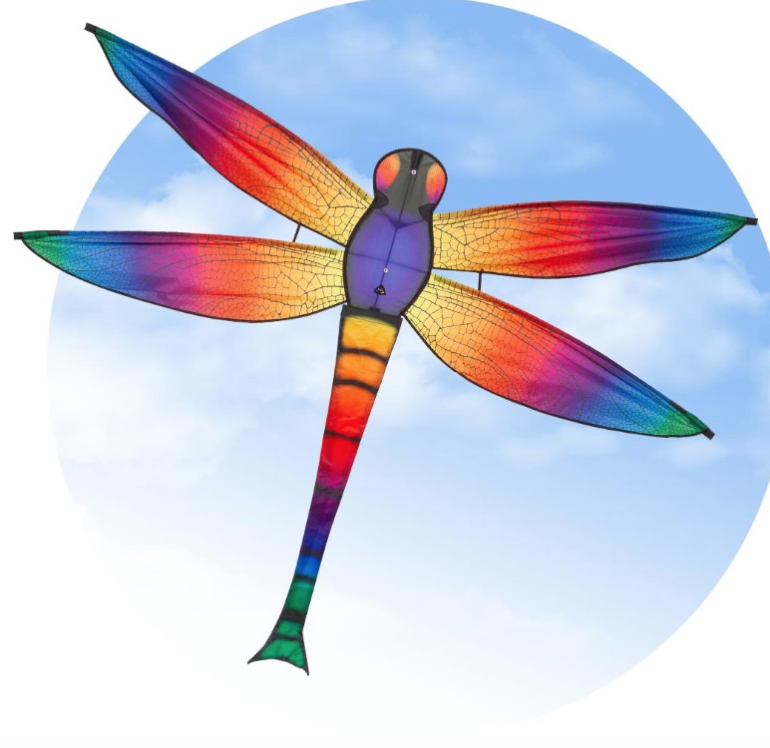 Rainbow colored Dragonfly kite ready to fly. The dragonfly wings are extended as well as the long body