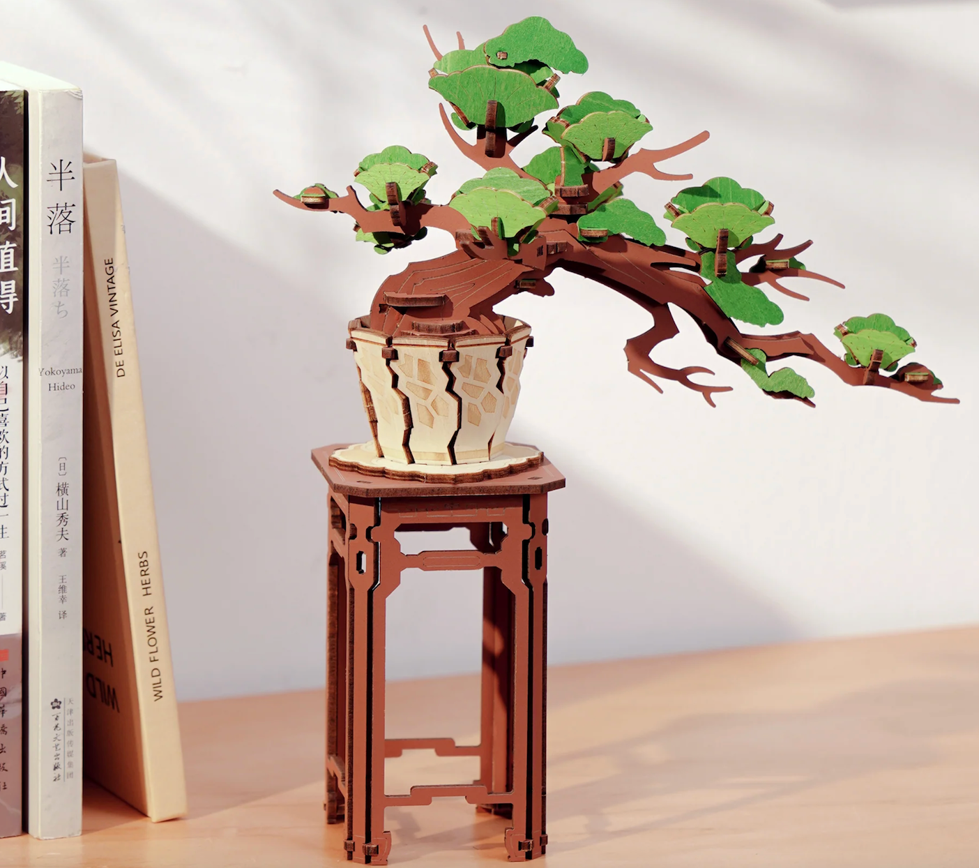Evergreen Pine Bonsai