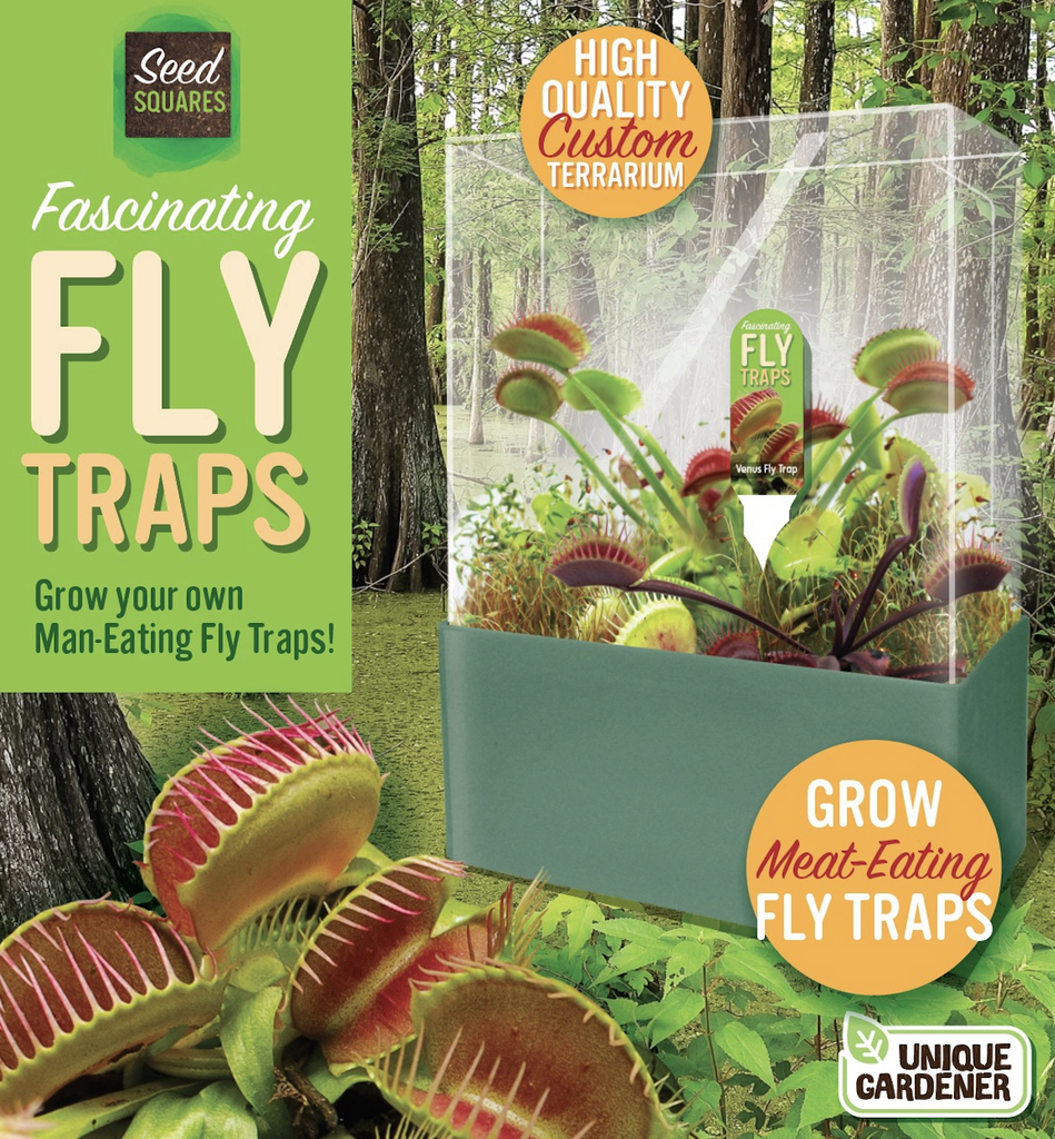 Box with pictures of the square terrarium for the Fascinating Fly Traps and man eating fly traps growing in the wild. 