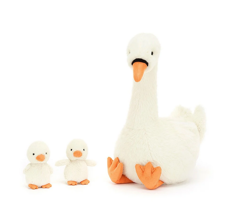 Two baby swan ducklings with orange beaks and feet standing along side the mother Swan with webbed orange feet and beak. 