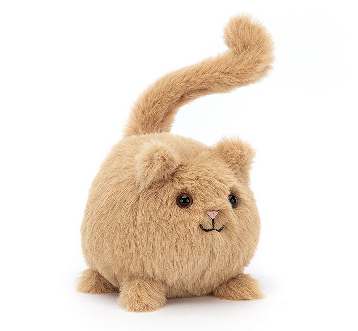 Ginger colored plush kitten with it's tail sticking straight up in the air. 