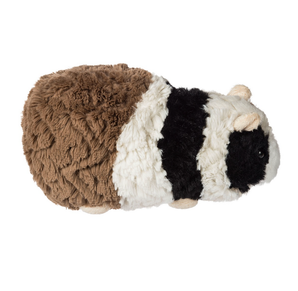 Left side view of Gizmo the Guinea Pig with luxurious brown, cream and black fur. 