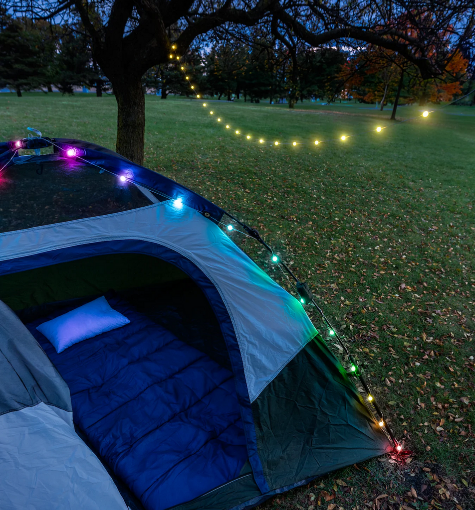 A tent with the multicolored globe brights camping lights attached to it and the globe brightz strung to a tree in the amber color. 