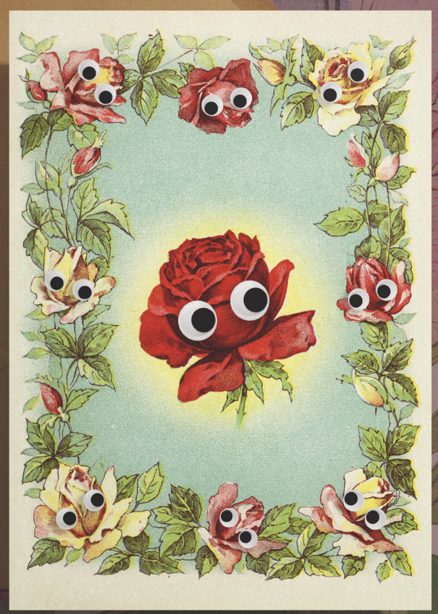 Googly Flower Border Card – World of Mirth
