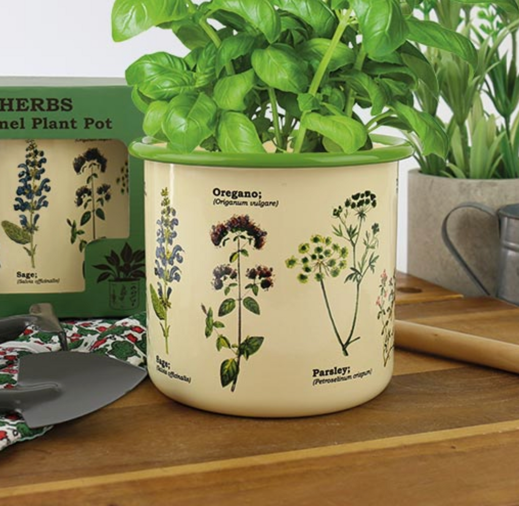 The Herbs Enamel Plant Pot with a basil plant inside. There are illustrations of popular herbs on the plant pot. 