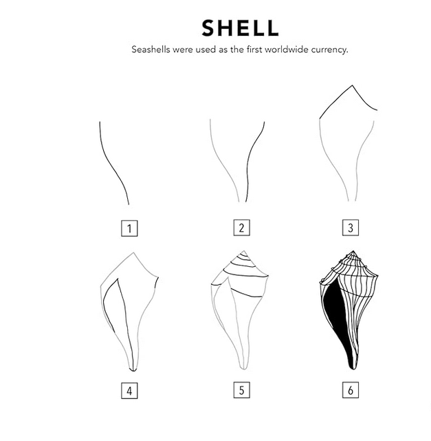 Conch Shell Simple Conch Shell Drawing Step By Step