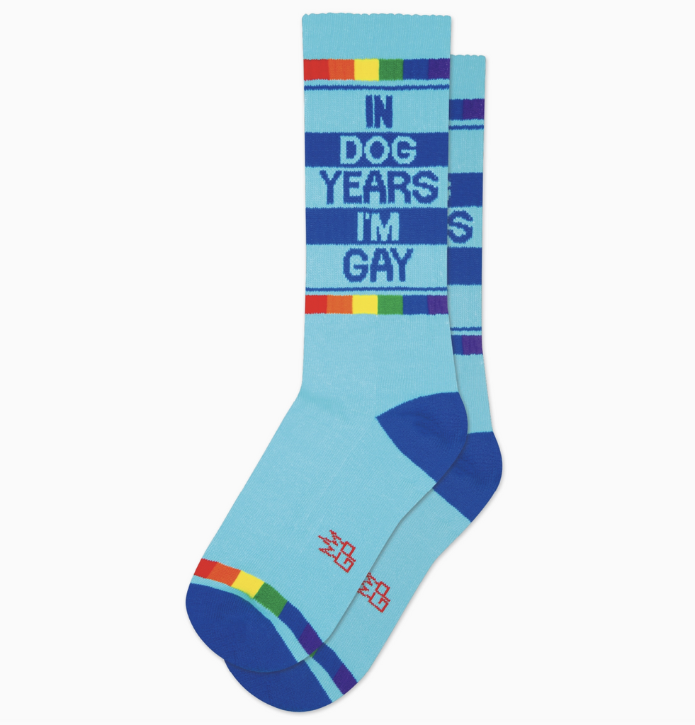 Light blue tube socks with rainbow stripes that read "In Dog Years I'm Gay"