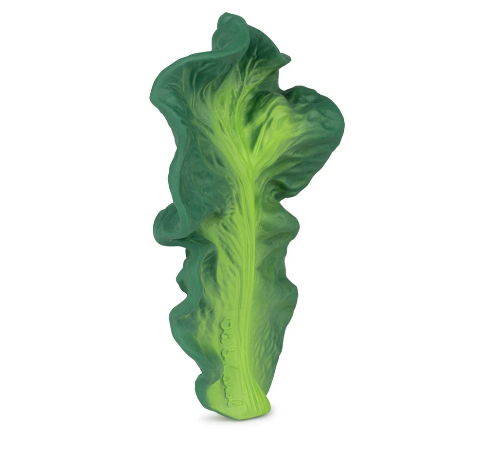 Large green Kale leaf shaped baby teether made from 100% natural rubber. 