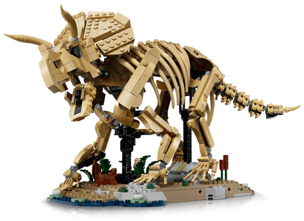 A close up picture of the LEGO Jurassic World Dinosaur Fossils Triceratops model with posable features, including a movable head, legs and tail, and an opening jaw.