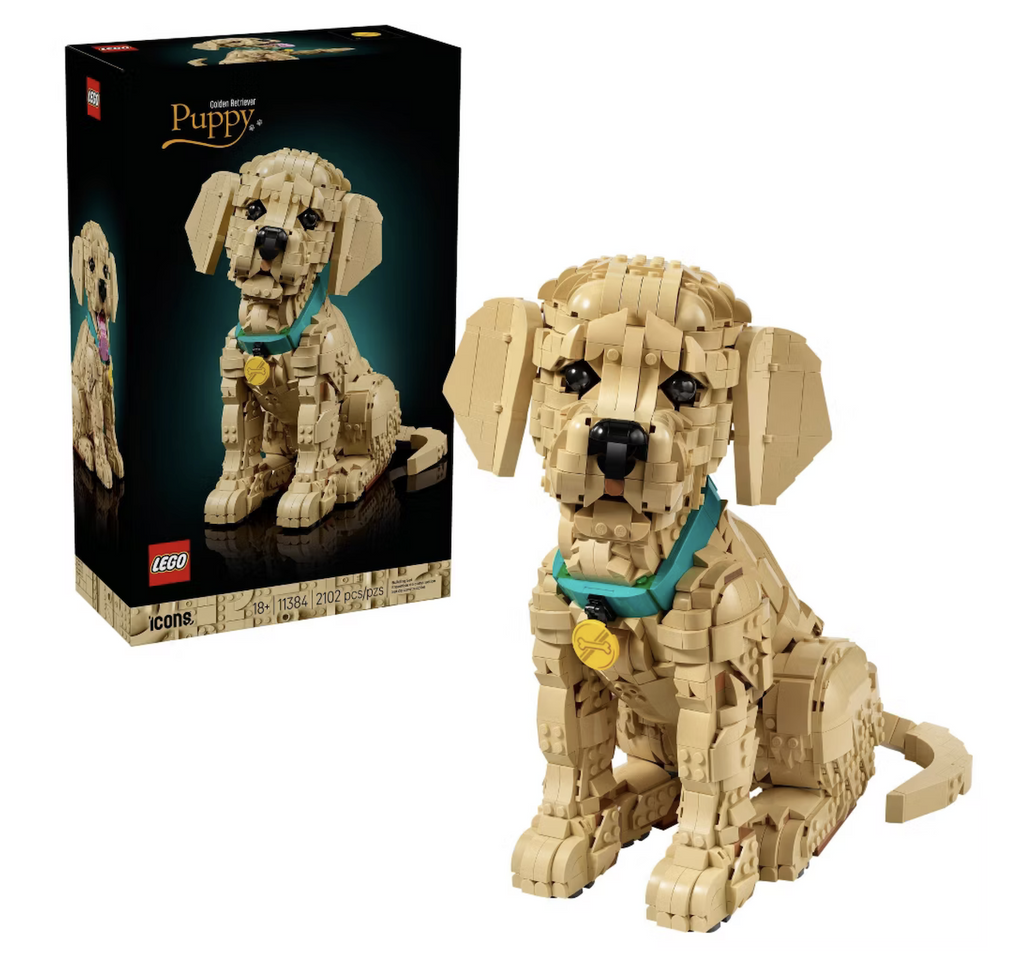 Adorable Golden Retriever Puppy built with LEGO bricks from the LEGO Icons series. The puppy is sitting up and facing forward with the black LEGO box in the background. 