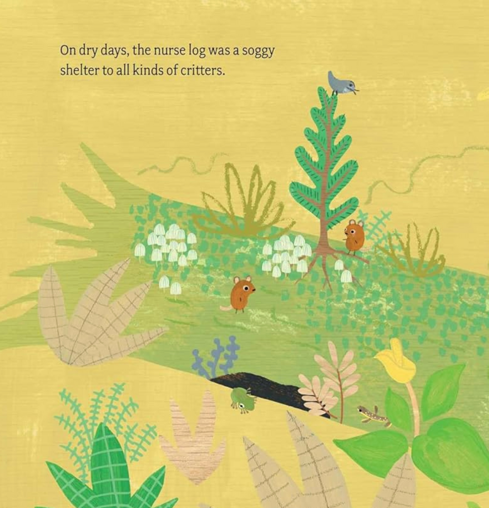 Interior page from Log Life illustrated with a fallen tree and the critters and plants that thrive off of it. 