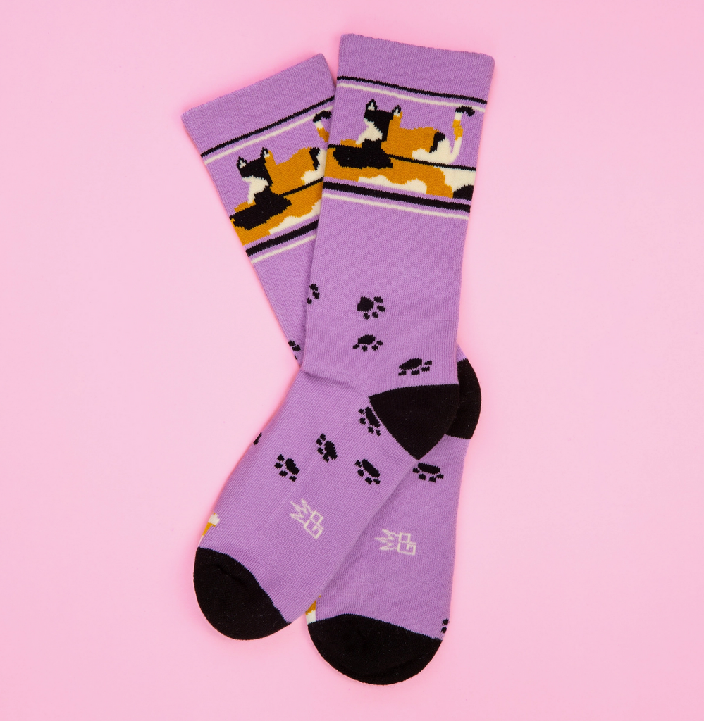 Purple tube socks with black stripes and black paw prints. There is a calico cat laying down at the top of the socks. 