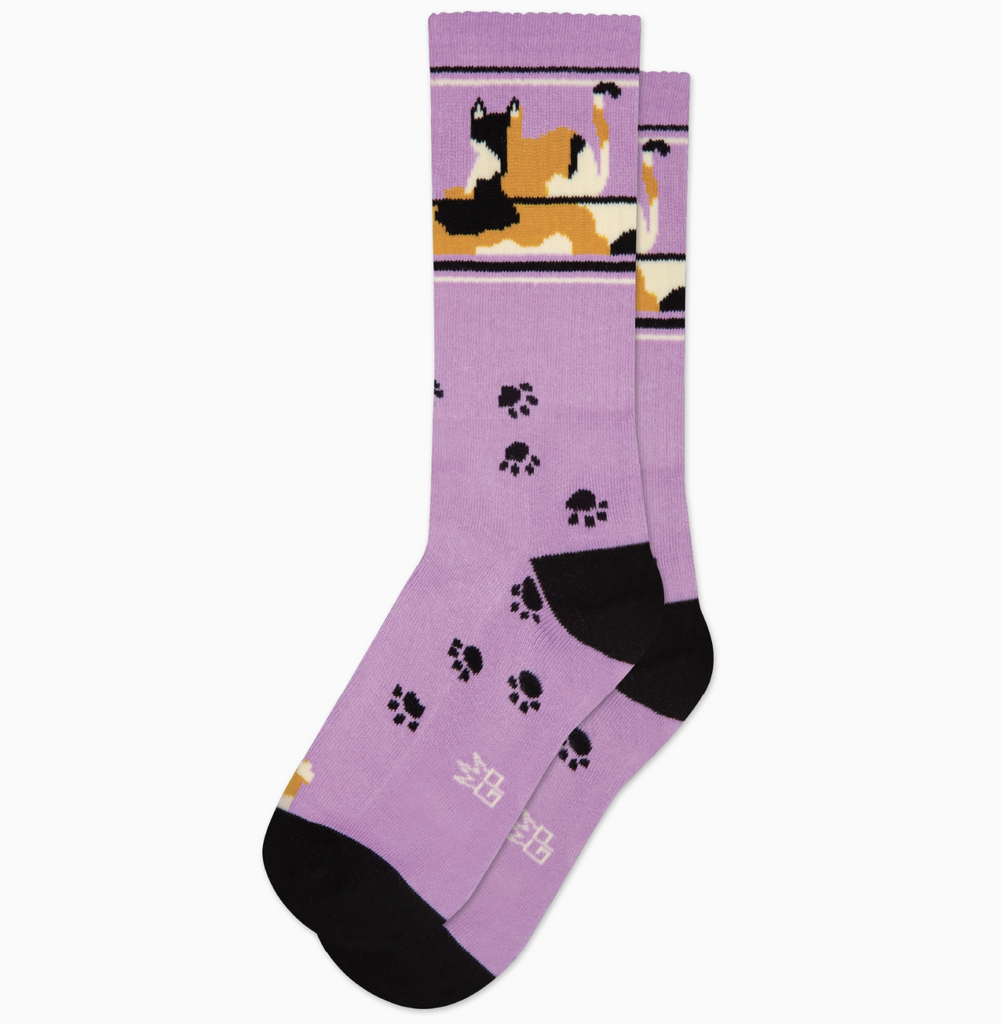 Purple tube socks with black stripes and black paw prints. There is a calico cat laying down at the top of the socks. 