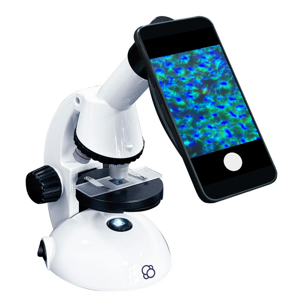 White microscope with a smart phone attached and projecting the slide onto the screen of the phone. 