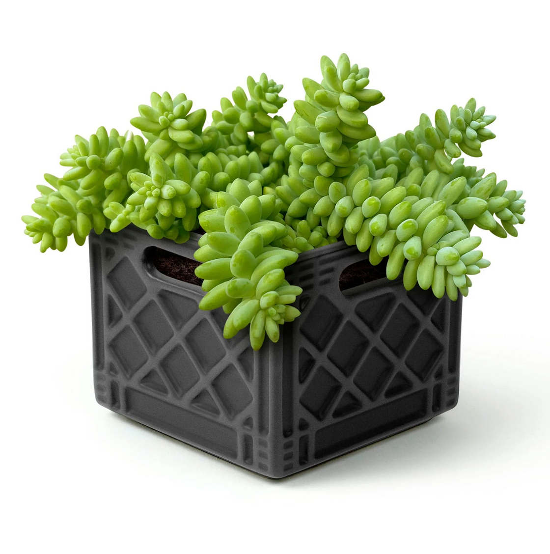 plastic crate planter Milk Crate Planter – World of Mirth