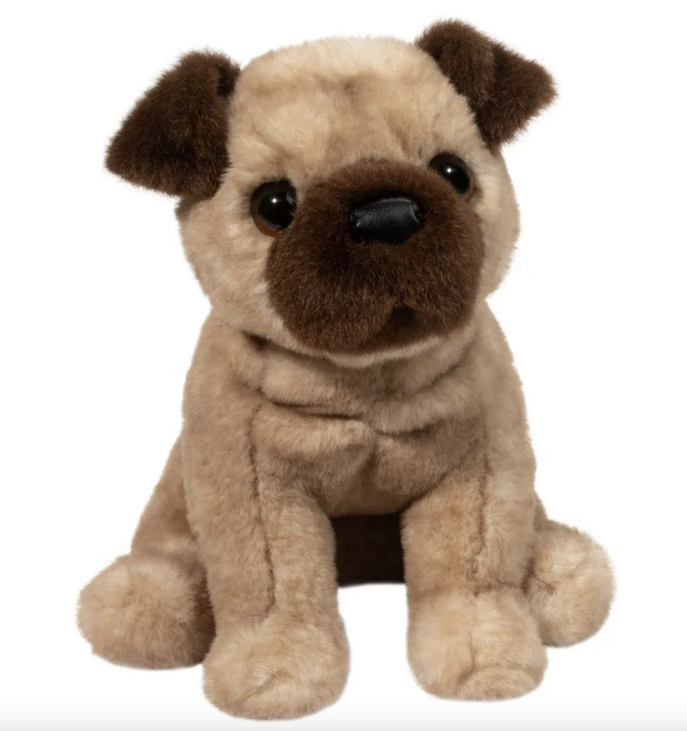 Plush pug dog in sitting position with tan fur and dark brown ears and muzzle. 