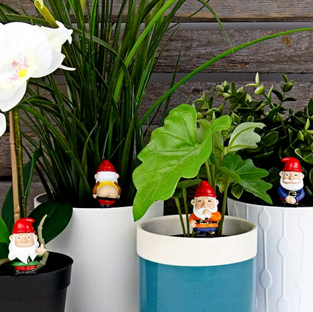 gnome plant pot Mini Plant Pot Naughty Gnomes – World of Mirth