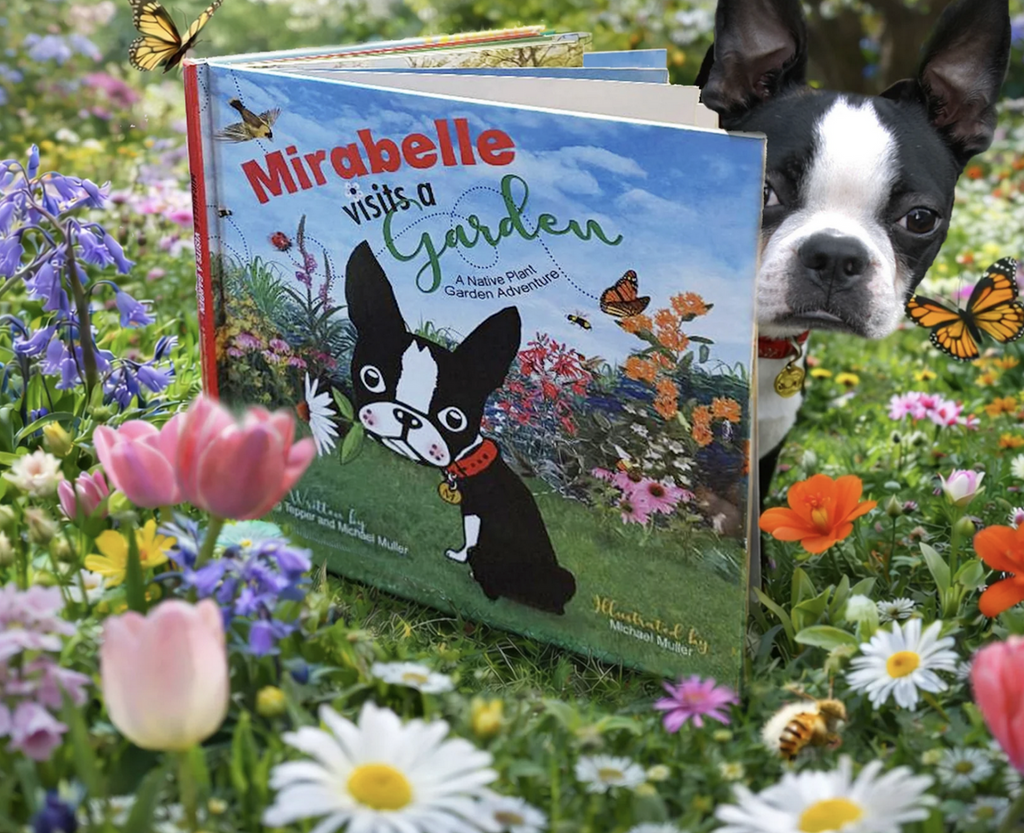  Mirabelle Visits a Garden with a beautifully illustrated cover set in a flowering garden with Mirabelle herself  peeking out from behind the book. 