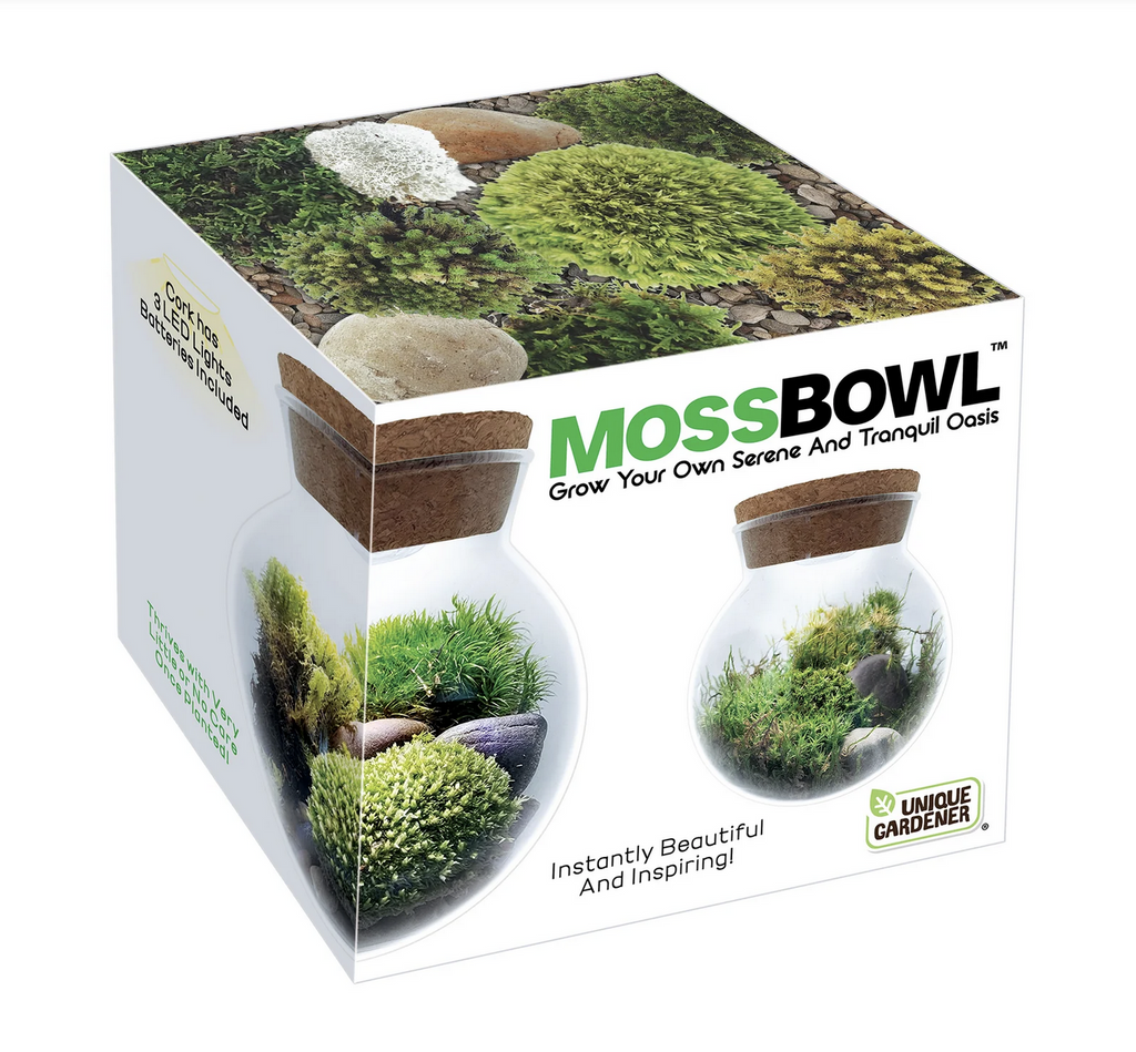 Moss Bowl box with images of the Moss Bowl set up with moss growing inside. 