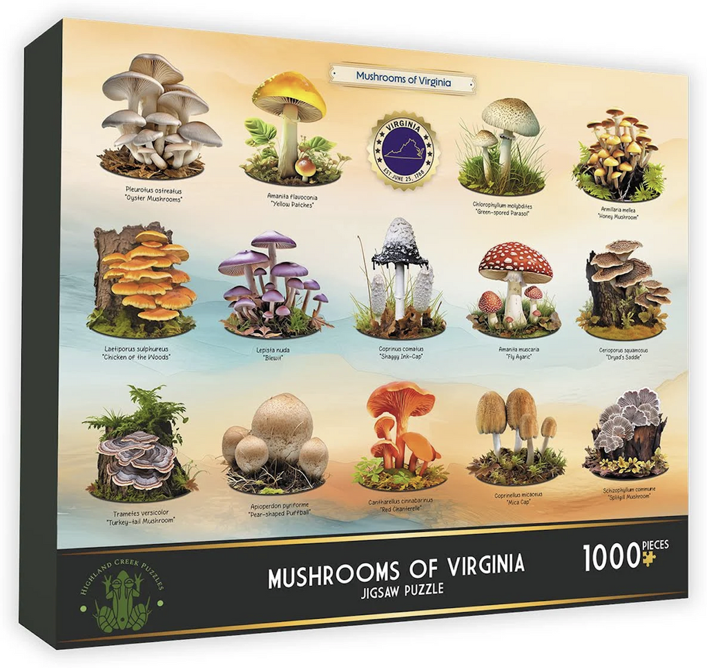 Box cover featuring colorful illustrations of many of the mushrooms that can found in the woods of Virginia. 