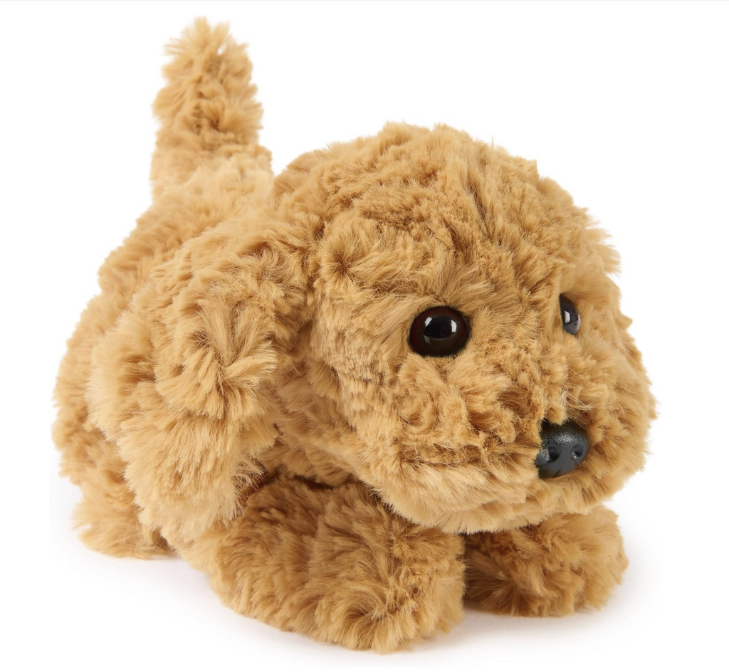Small plush puppy with scruffy, butterscotch fur and dark brown eyes. 
