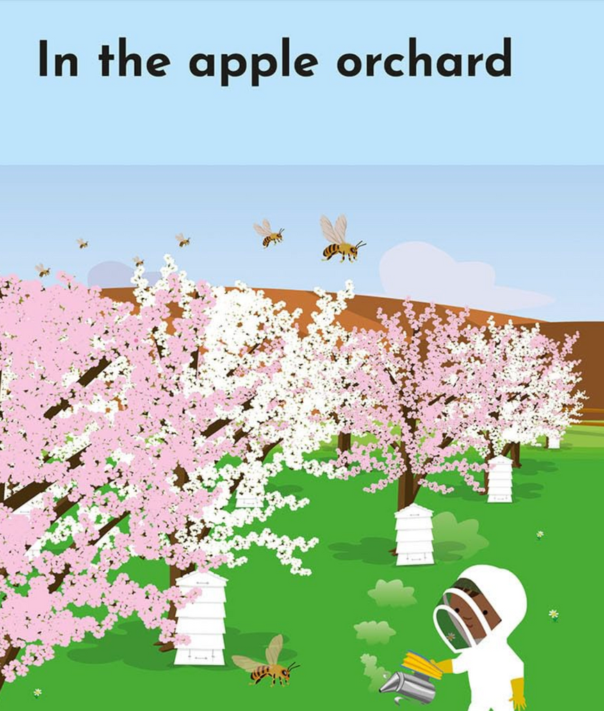An interior page depicting an apple orchard with a beehives, a bee keeper and bees buzzing above the flowering apple trees. 
