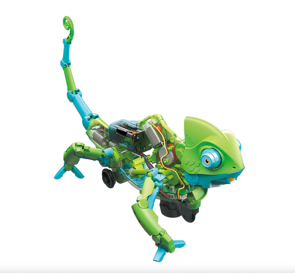 Toy robot lizard with green and blue colors , there is also a transparent battery compartment on it's back, along with visible wiring that controls the gecko's movements. 