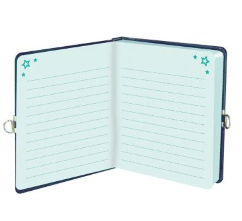 My Secret Keep Out Diary open to show lined pages. 