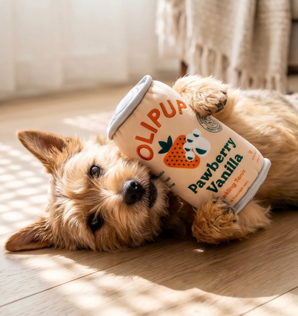 A small dog lying on the floor, holding the squeaky toy labeled 'OLIPUP Pawberry Vanilla'. 