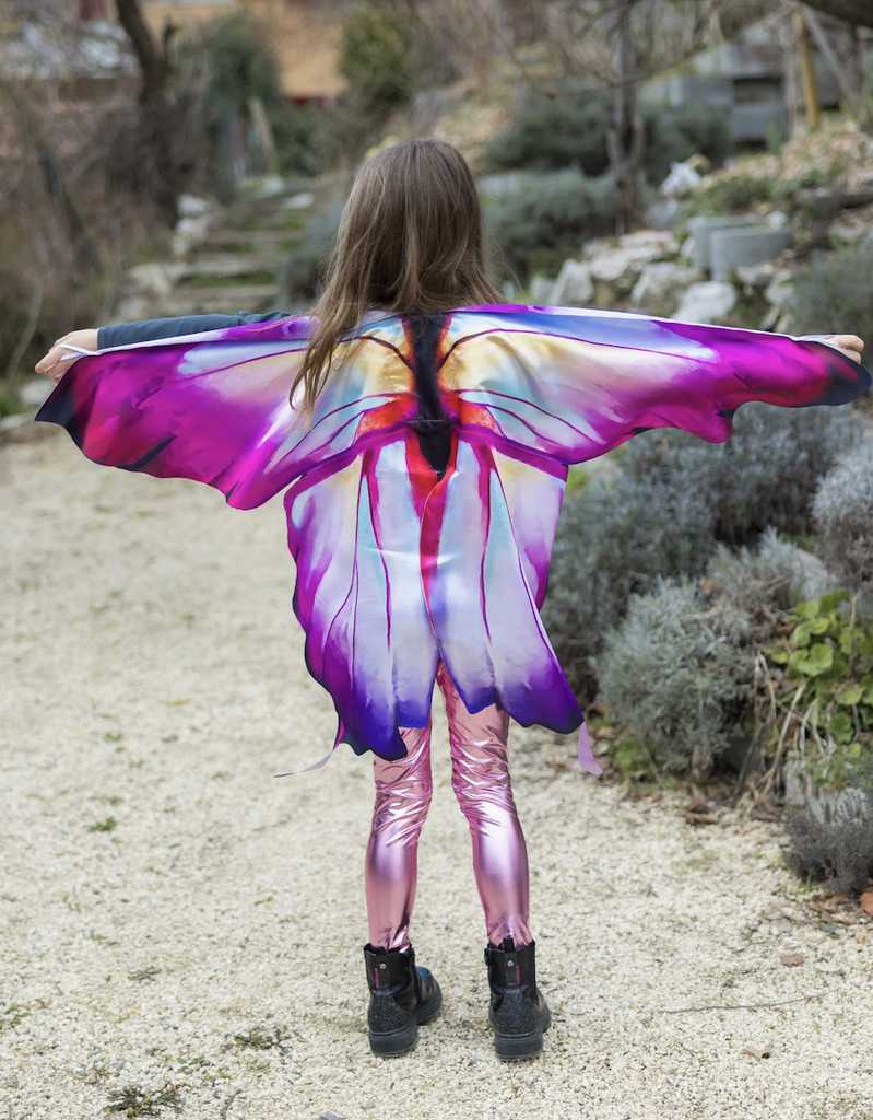 Ombre Butterfly Soft Wings shown from the back of a child wearing them. 