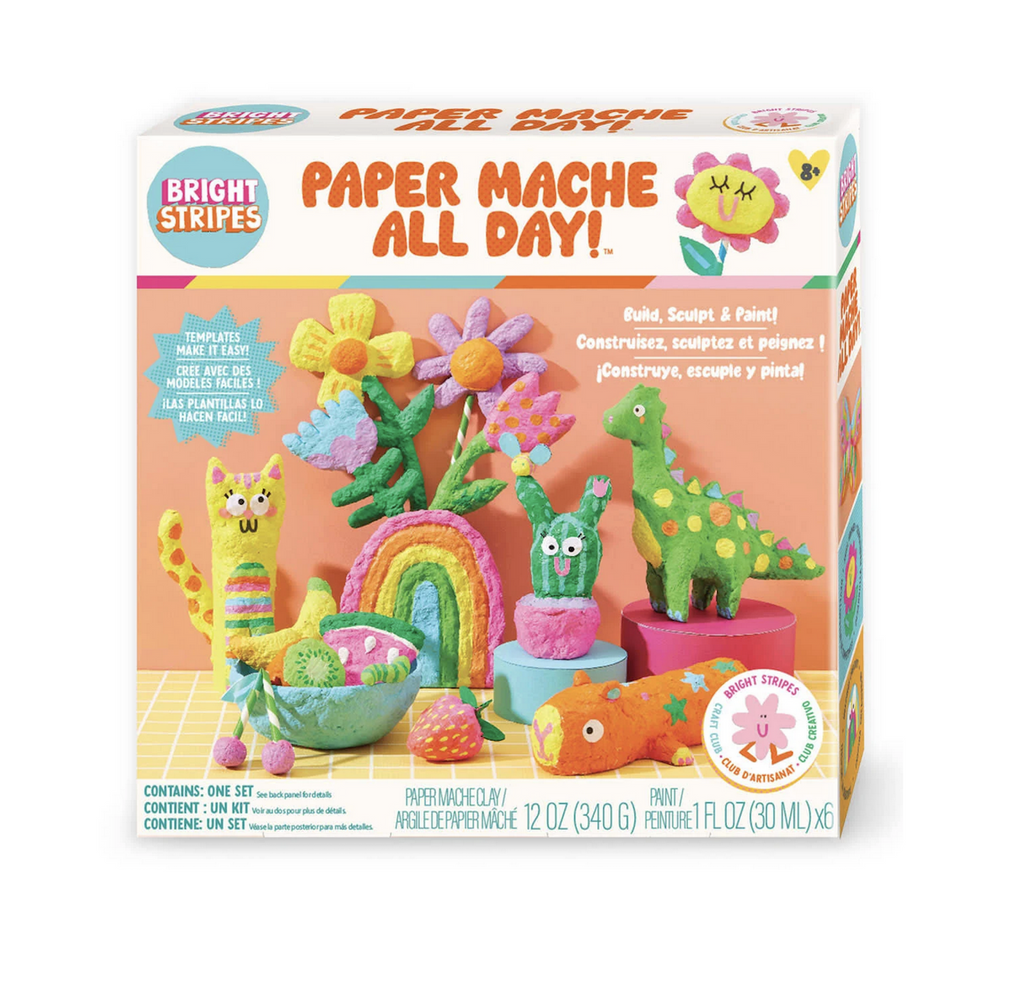 The Paper Mache All Day kit packaged in a white box featuring many of the finished products that can be made with the kit, including a bouquet of flowers, a green dinosaur, cactus and a yellow cat. 