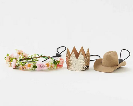 Pawty Hats for Dogs. Flower crown, birthday crown and cowboy hat. 