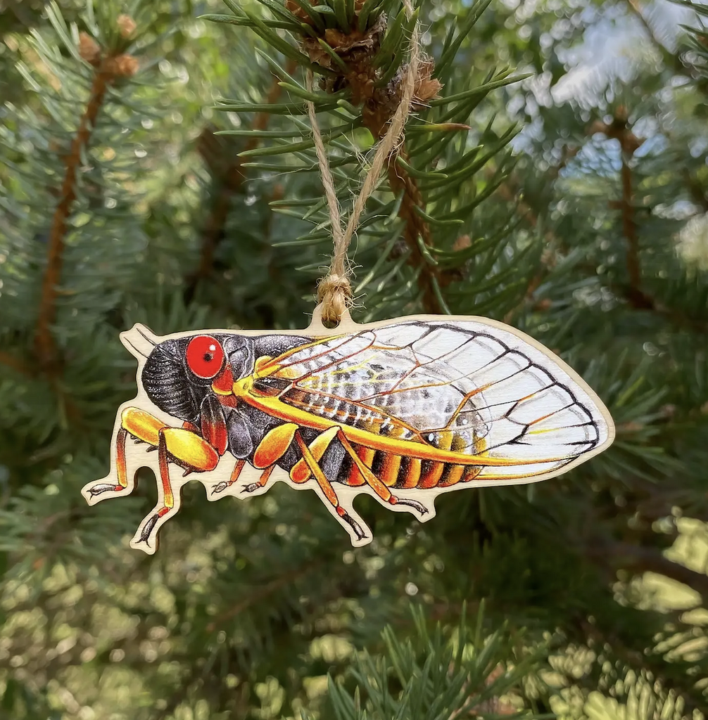 Die cut wooden ornament with a Periodical Cicada printed in color on the front. 
