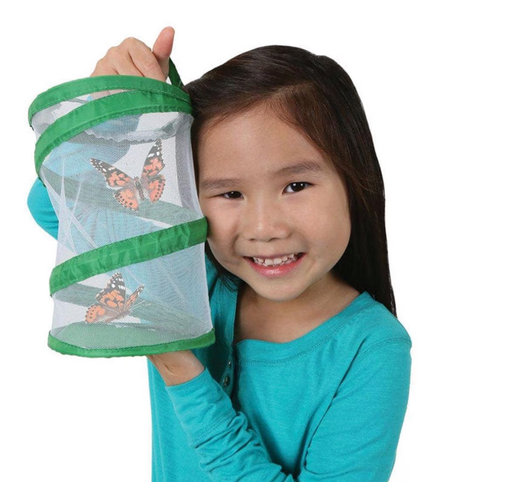A young child holding the Pop Up Port A Bug portable bug house with butterflies inside. 