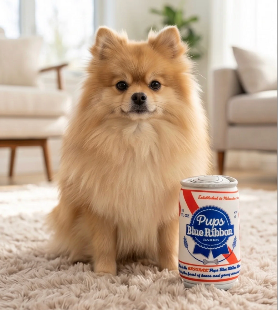 A fluffy cream Pomeranian dog sits  next to a can of Pups Blue Ribbon dog toy. 