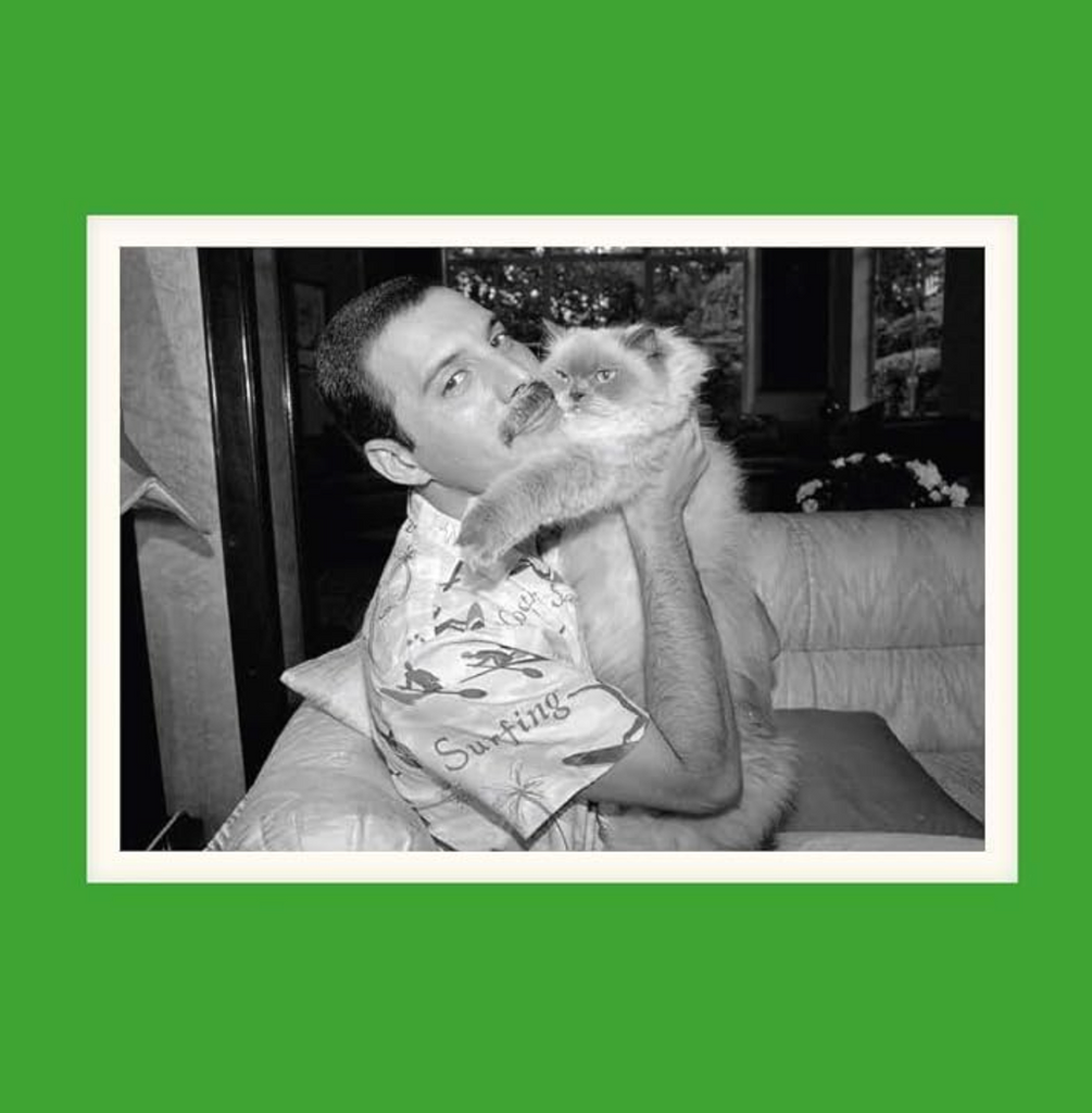 Black and white photo of Freddy Mercury holding his cat against a green background a seen in the interior of "Queer Icons and their Cats" 