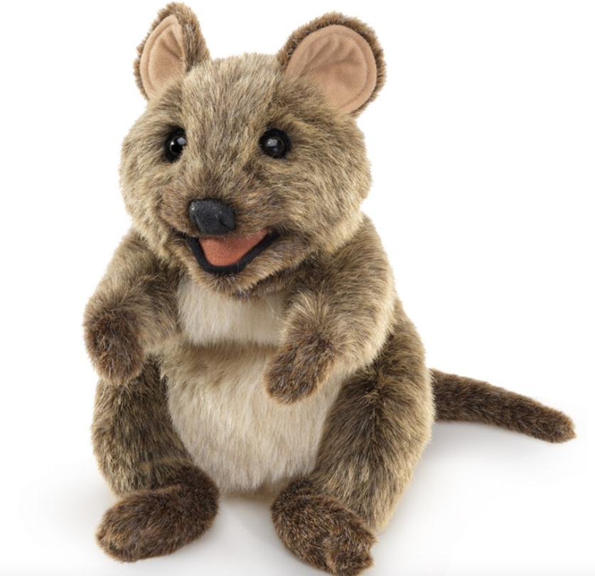 Close up of the Quokka puppet. His dark brown fur covering his face, back arms and legs, and a tan colored fur covering his belly. 