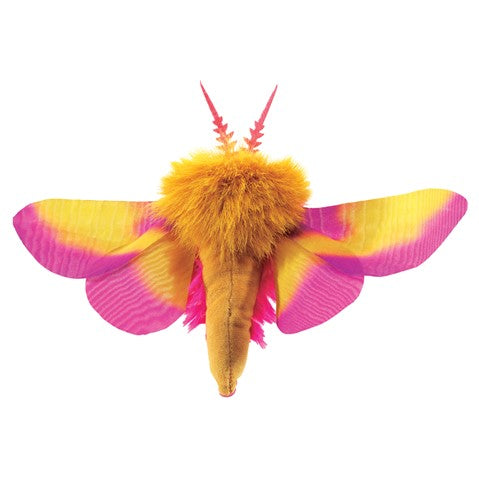 Rosy Maple Moth [CUTE] 