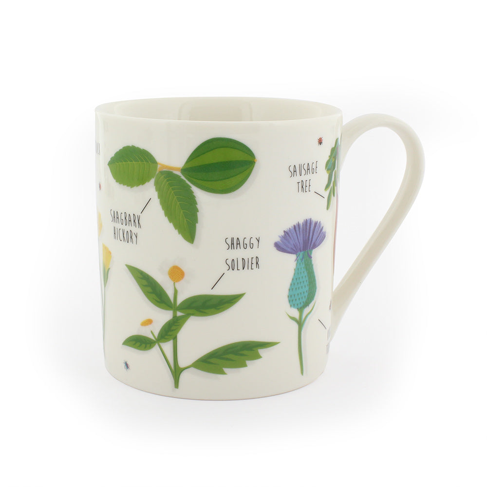 Opposite side of the Rude Plants Mug illustrated with different plants and flowers with silly names like "saggy soldier" and "sausage tree"