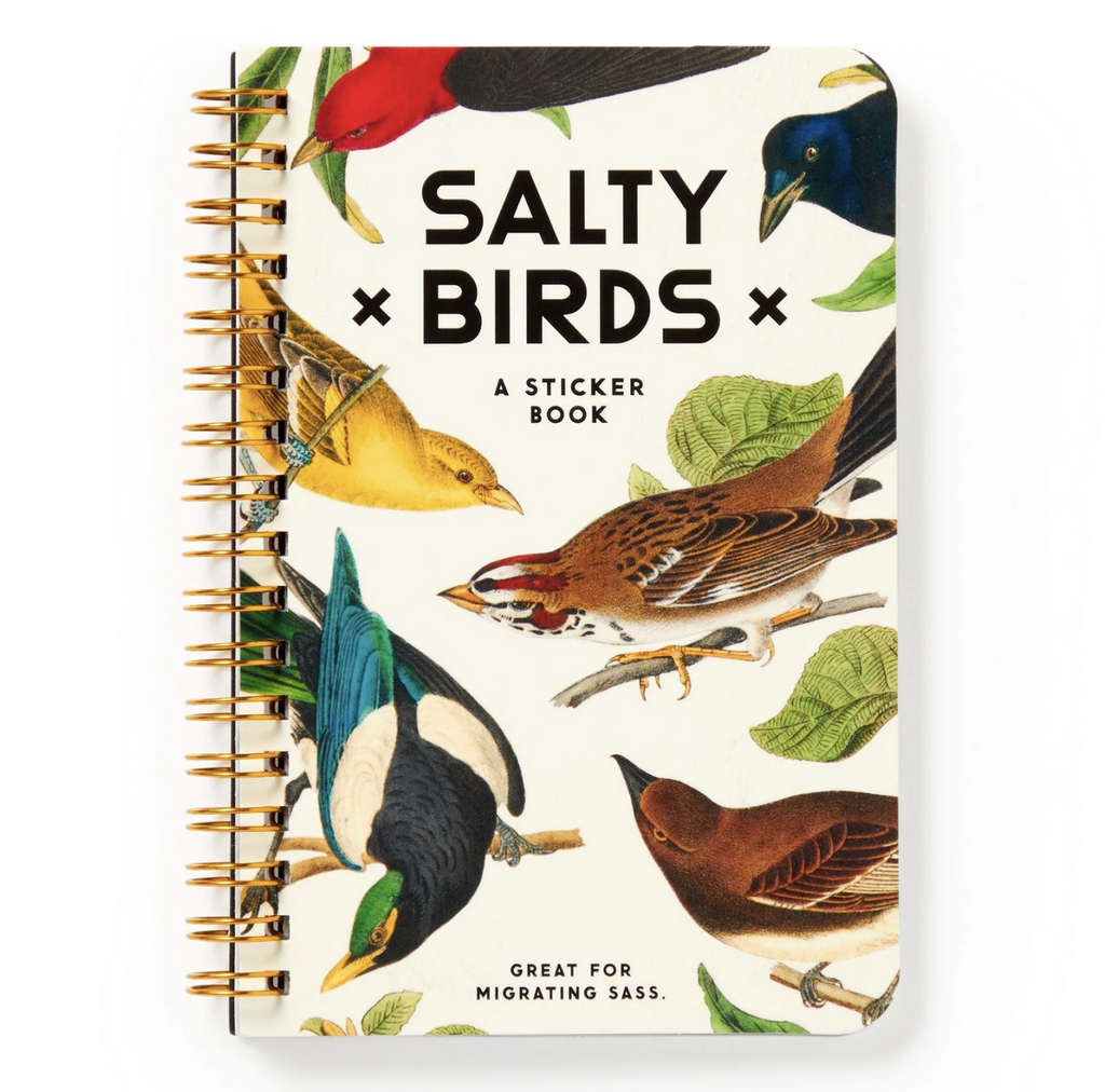 Cover of Salty Birds Sticker book with images of birds all over it.  