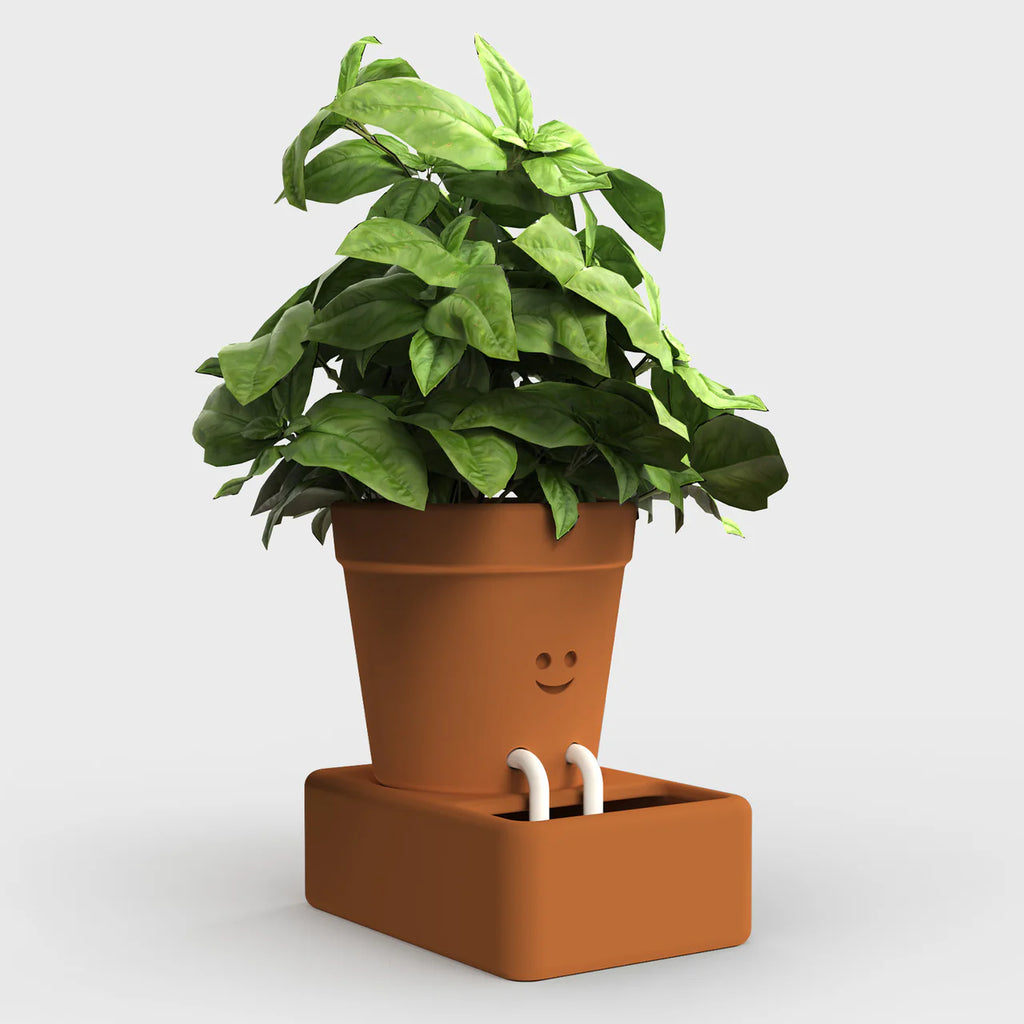 Terra Cotta colored ceramic Self Care Planter with a nice green plant in it.