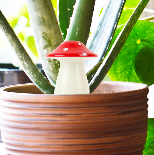 The Self Watering Mushroom shown in a plant. 
