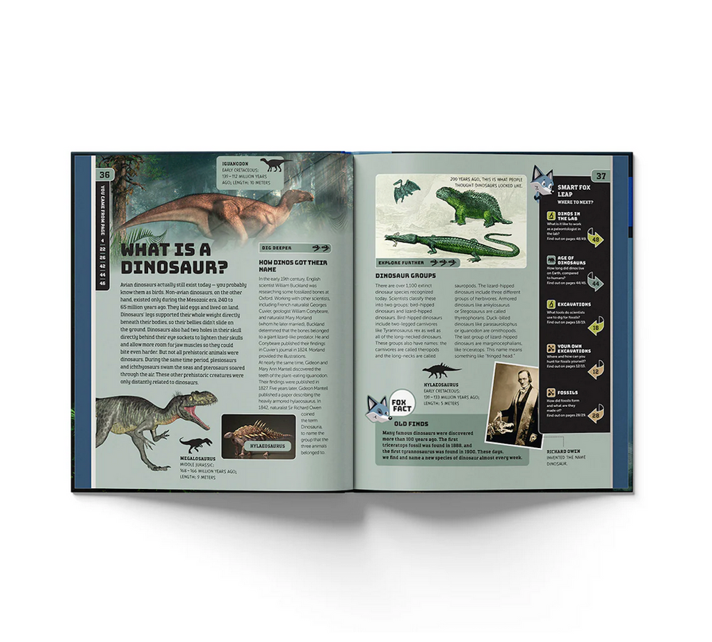 Smart Fox: Dinosaurs opened to a section describing "What Is A Dinosaur?" "Dinosaur Groups"  and a "Smart Fox Leap" tab that suggests where to read next. 