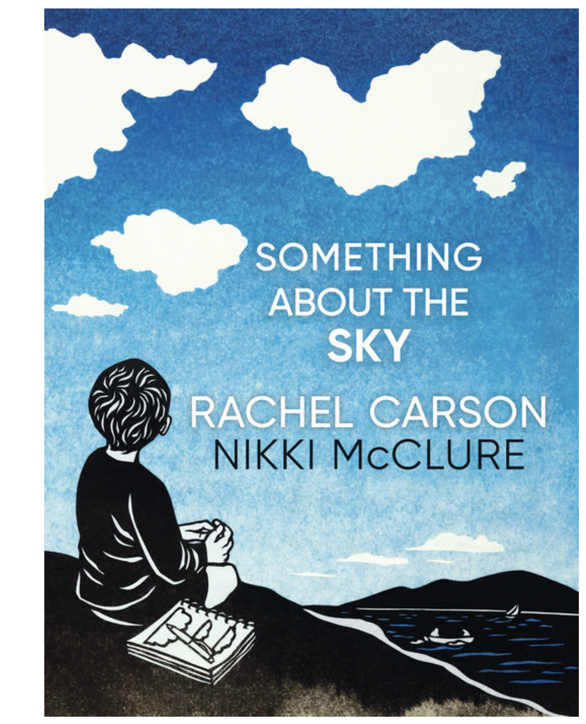 Cover of "Something About The Sky" with an illustration of someone staring at the big blue sky. 