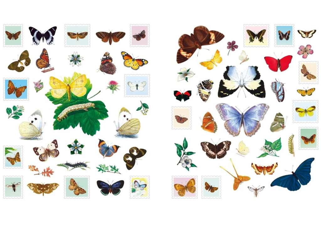 Interior pages of stamp sized moths, butterflies and flowers. 