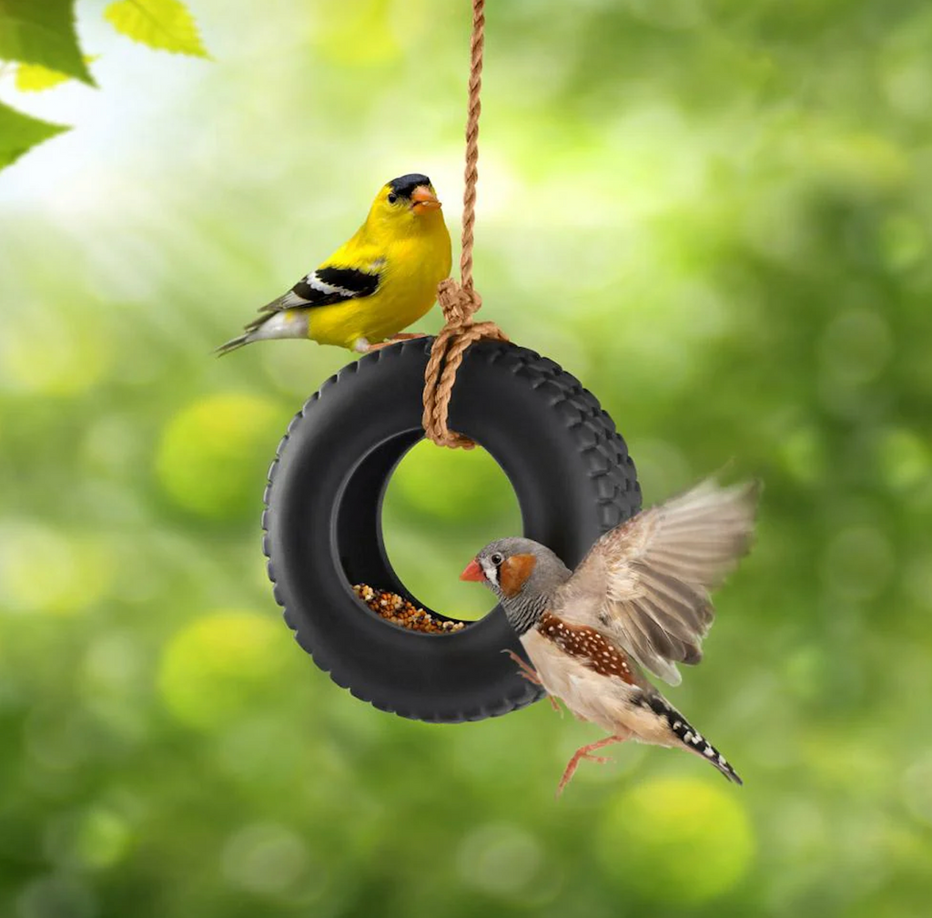 Two birds perched on a tire swing bird feeder hung from a tree branch. 