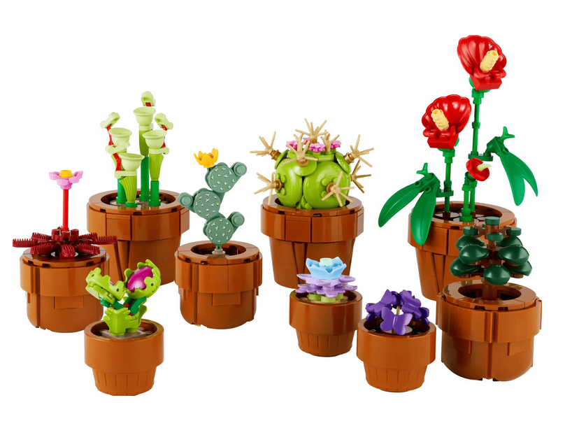 All of the completed Tiny Plants from the LEGO Icons Tiny Plant set.