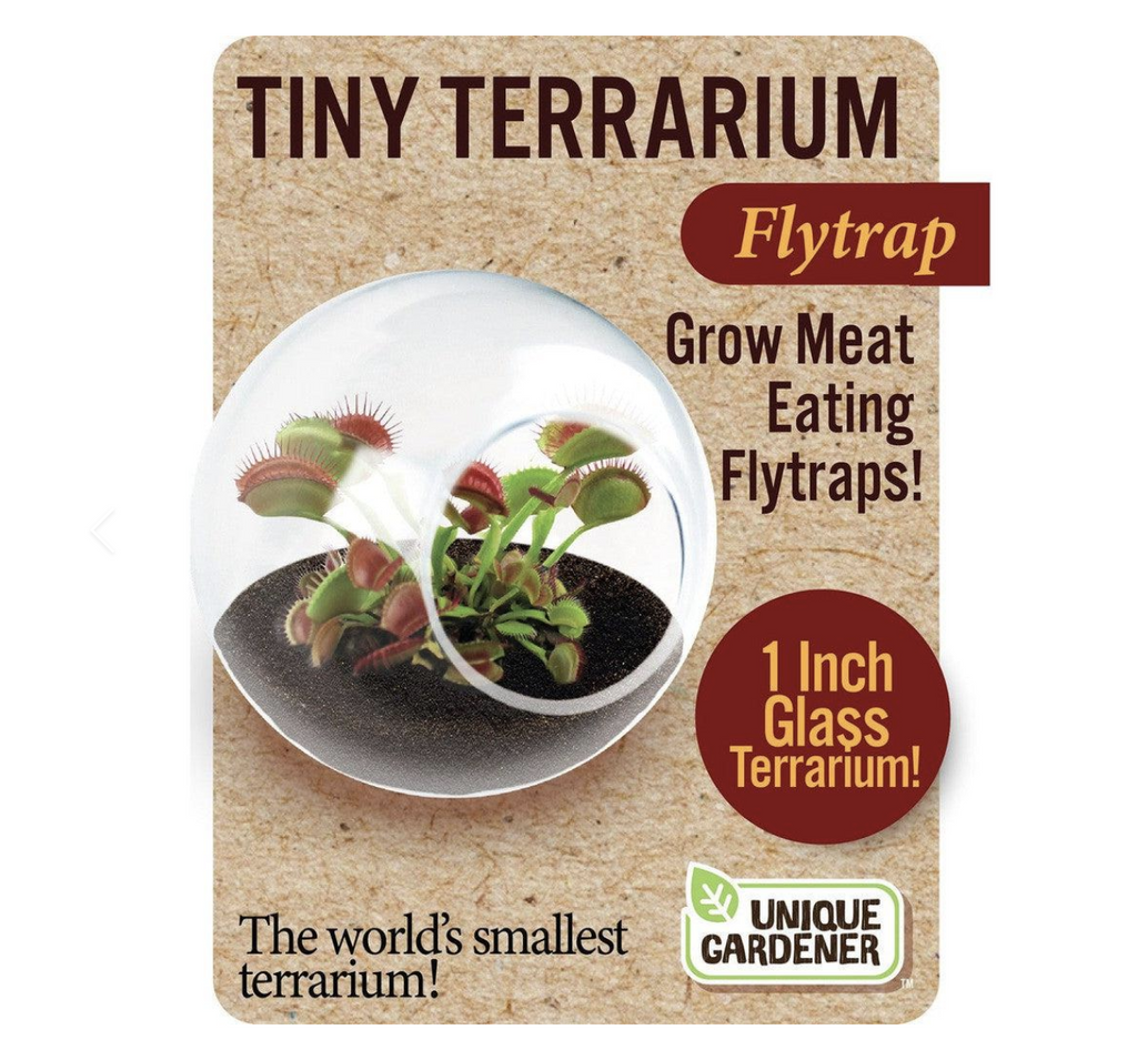 Tiny Terrarium Flytrap. Box with a picture of the flytrap growing in the tiny glass terrarium. 