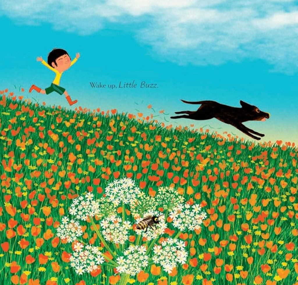 Interior page from Wake Up, Woodlands showing a kid and his dog running in a flower filled meadow. 